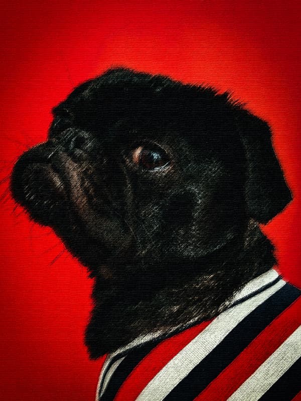 Bella in Renaissance Style