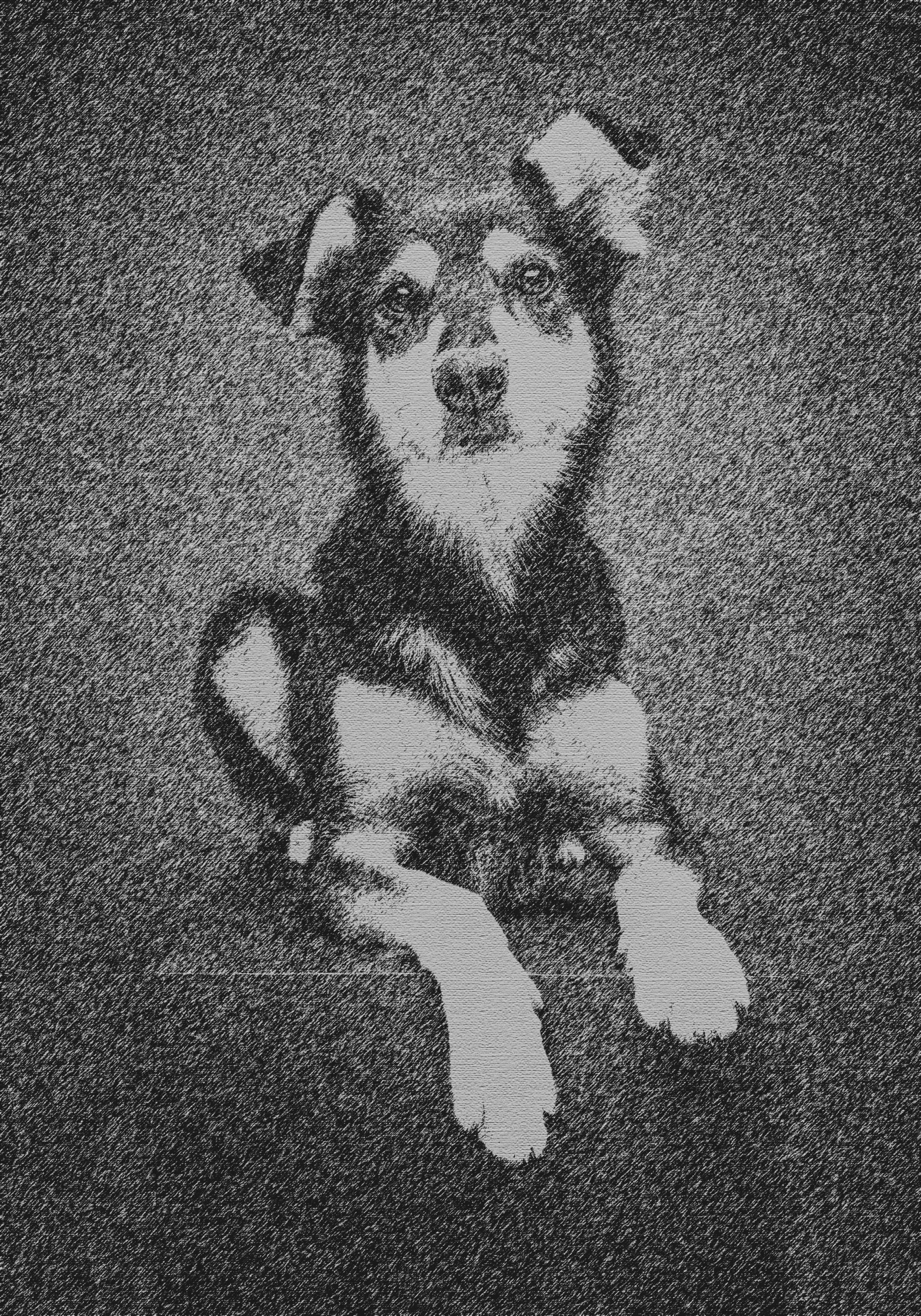 Rocky in Contemporary Ink